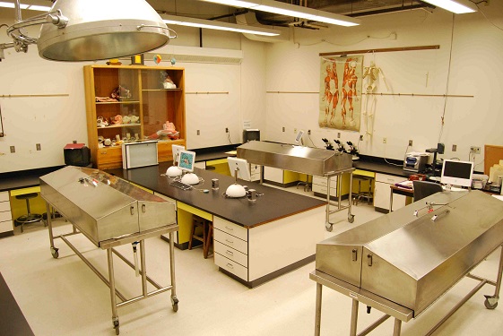 Laboratories